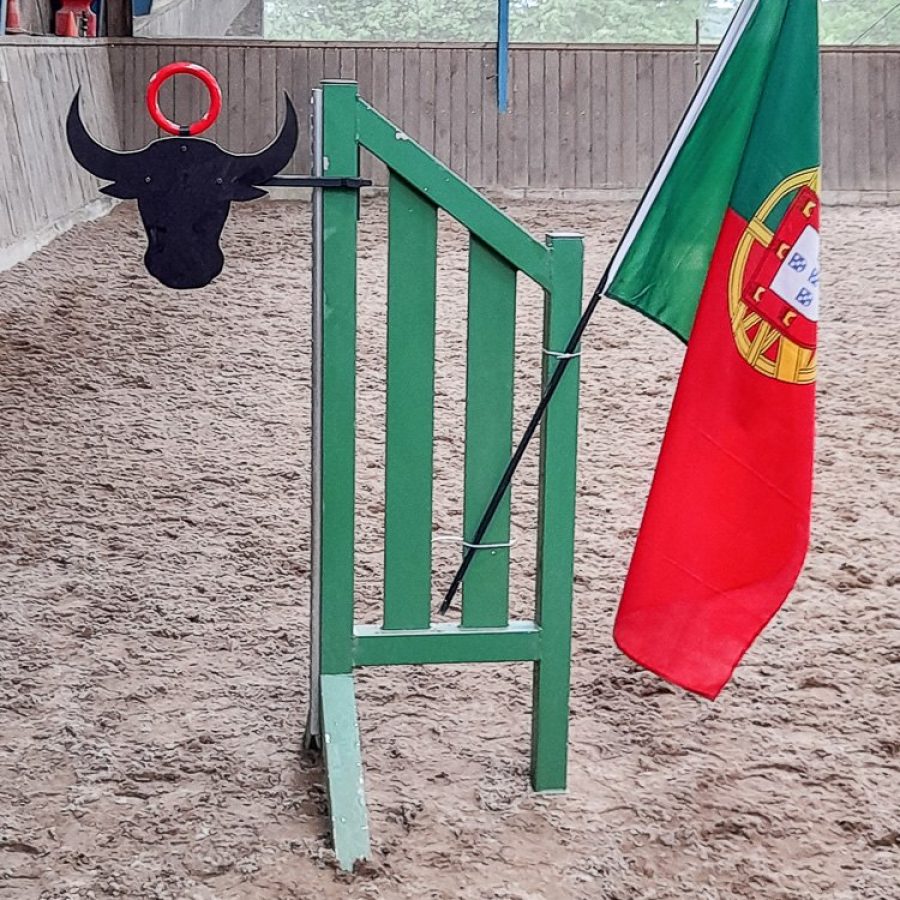 Working Equitation „StierToGo“