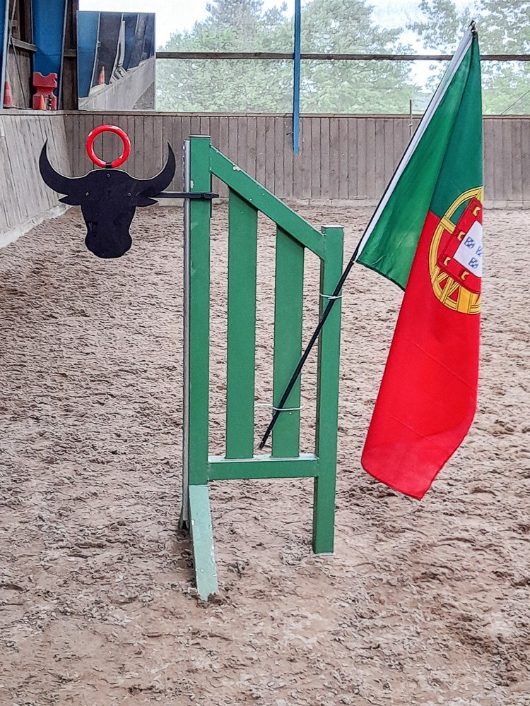 Working Equitation „StierToGo“ – Foto 1